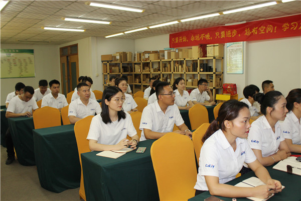 奮戰(zhàn)6月！伽立集團(tuán)銷售會(huì)順利召開